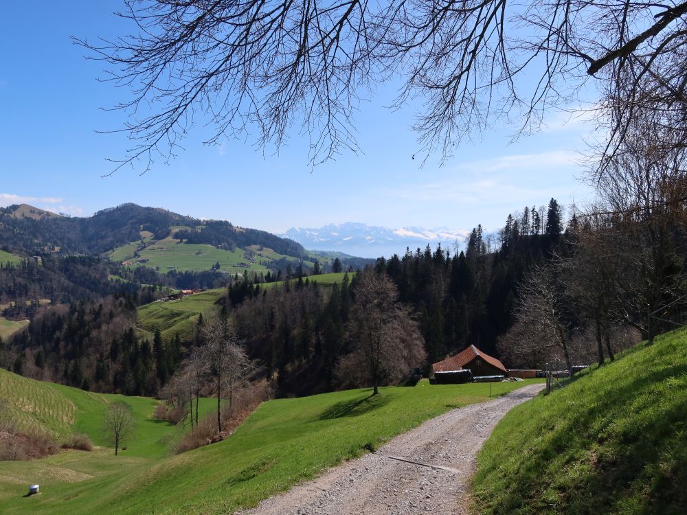 Brandegg und Glarner Alpen