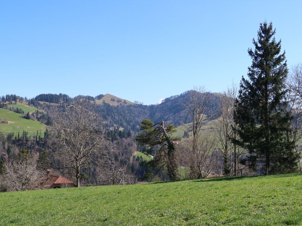 Hüttchopf und Brandegg