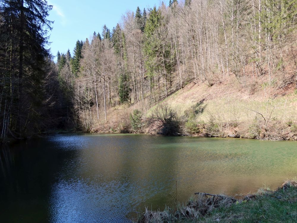 Gubelweiher