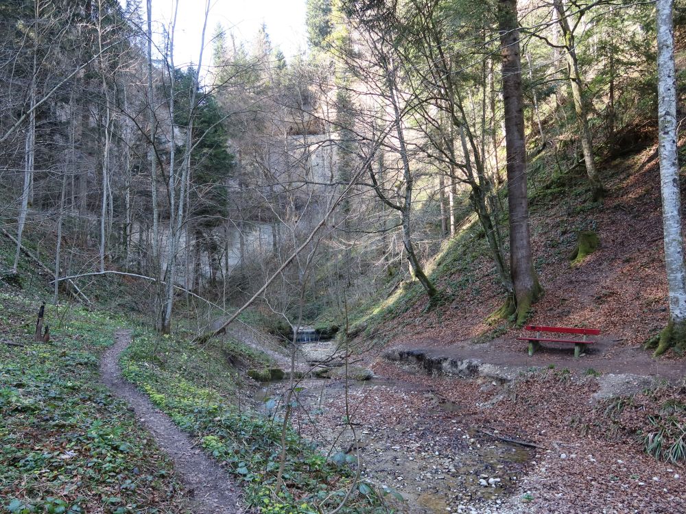 Gubelweg und Reinsbergbach