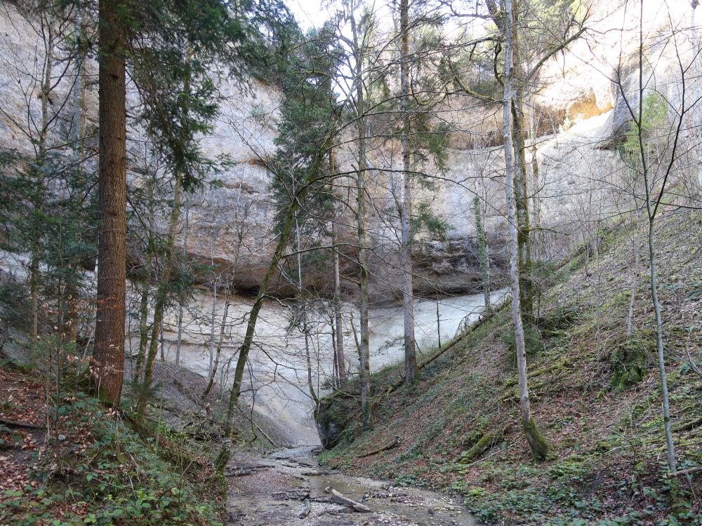 Greiselgubel-Wasserfall