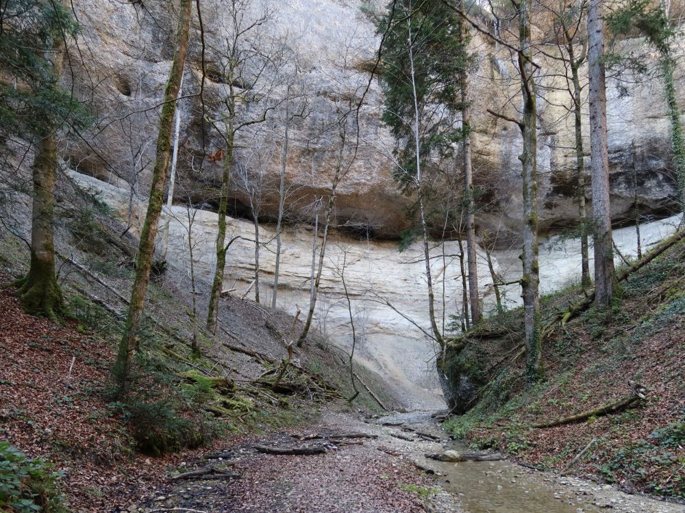 Greiselgubel-Wasserfall