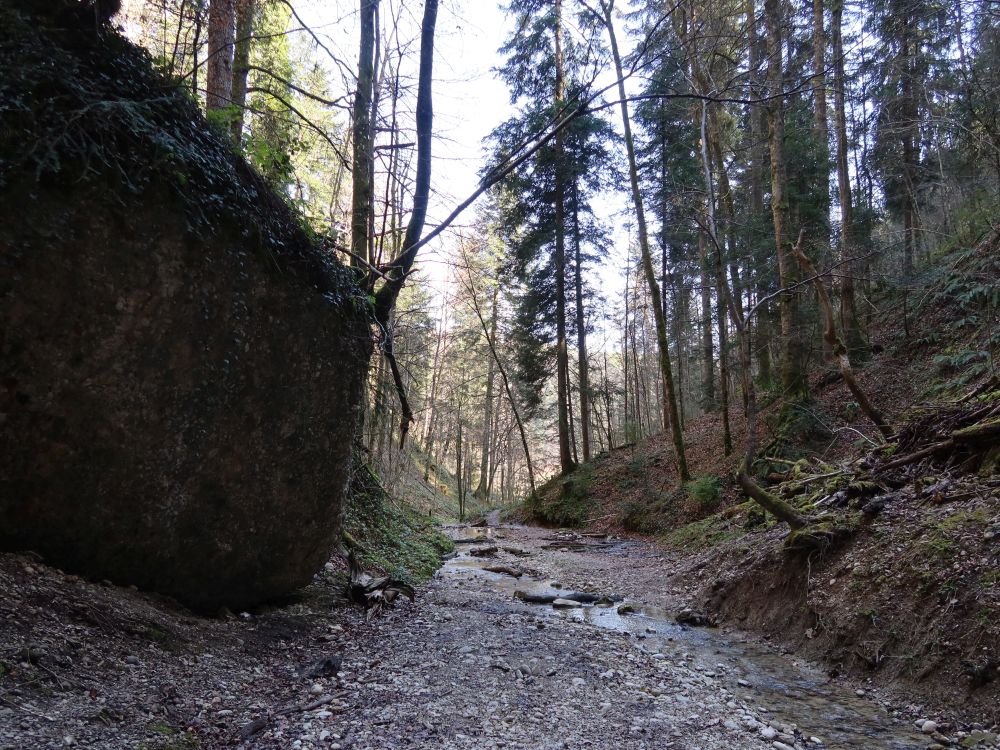 Reinsbergbach