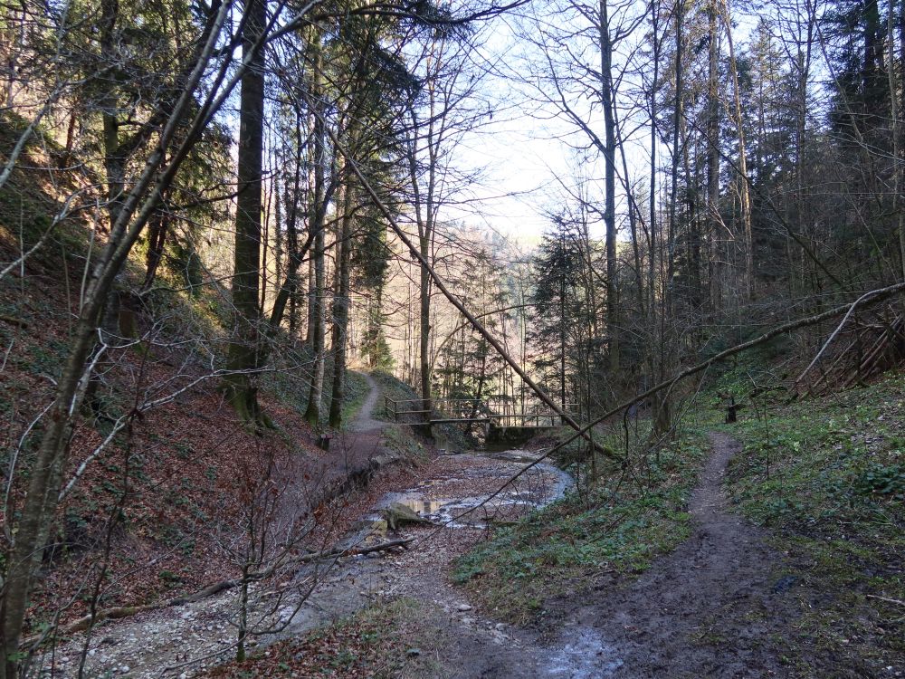 Reinsbergbach