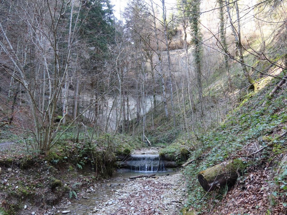 Reinsbergbach