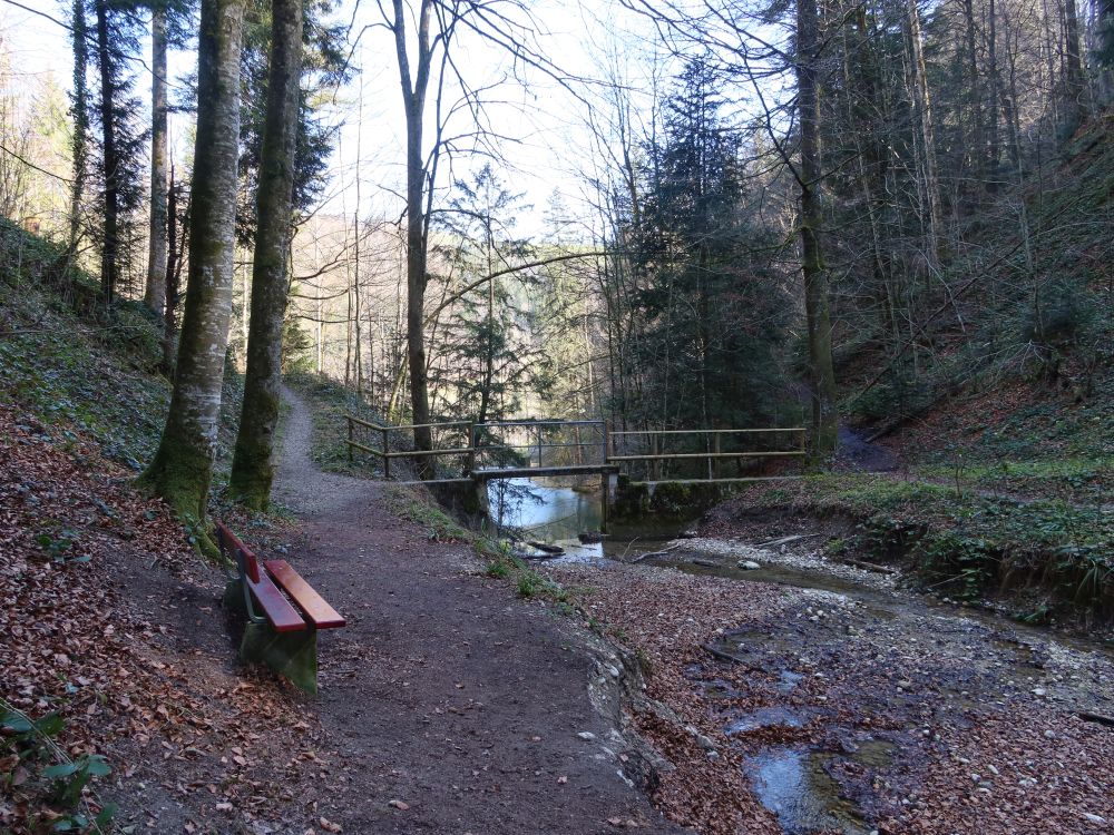 Sitzbank und Steg am Reinsbergbach