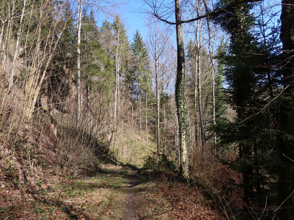 Gubelweg