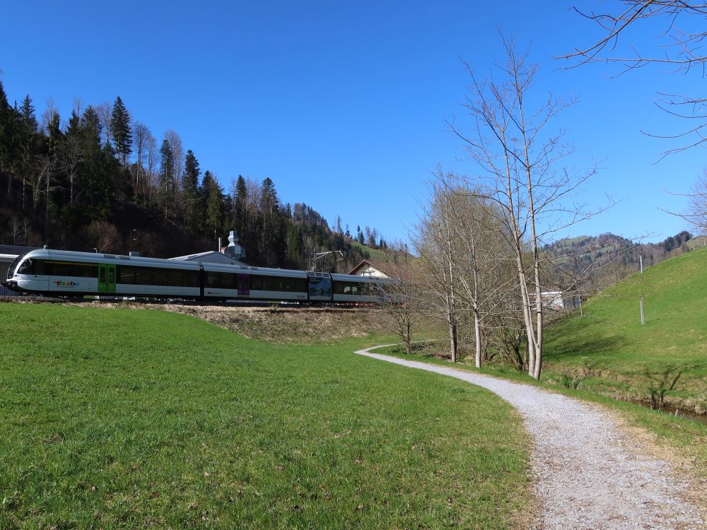 Eisenbahn bei Unteri Bodmen