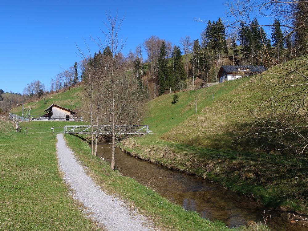 Pfad und Steg am Mühlebach