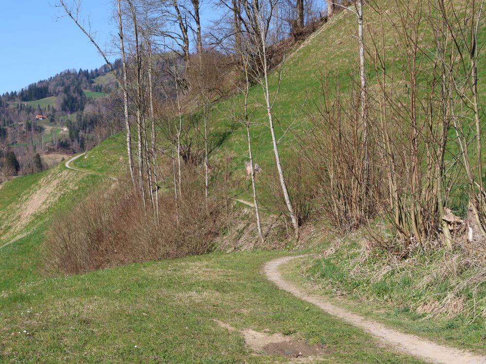 Pfad auf Burghalden