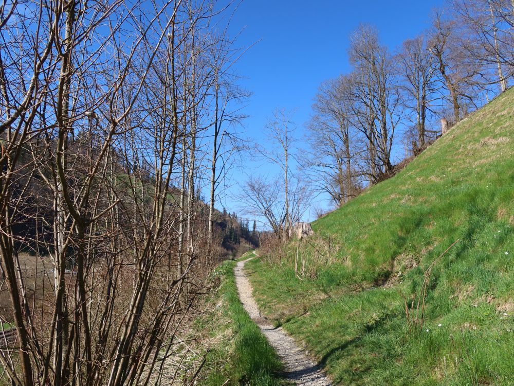 Pfad auf Burghalden