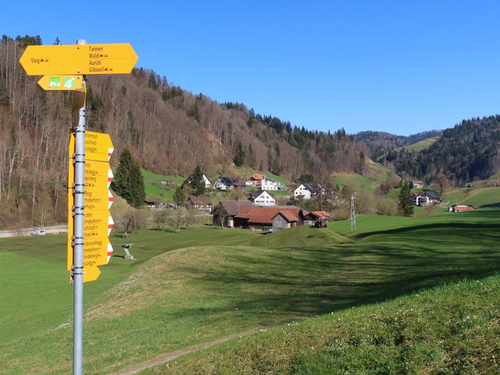 Wanderwegweiser und Breitenmatt