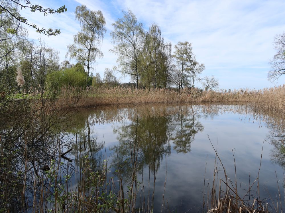 Teich am Rastplatz Stegen