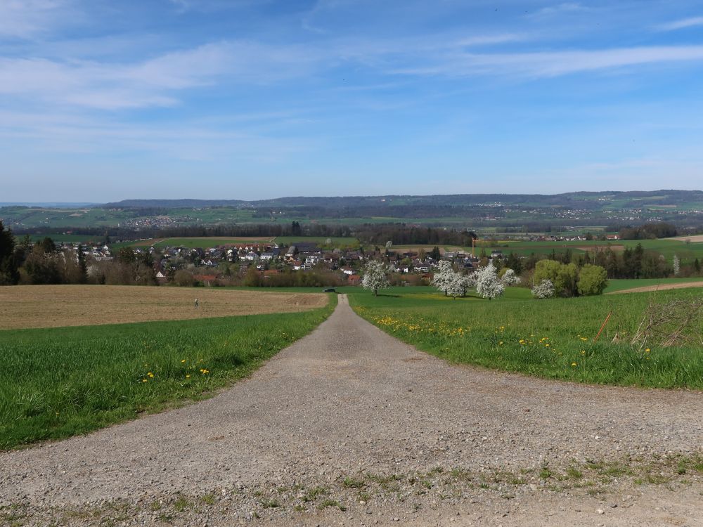 Blick Richtung Gachnang