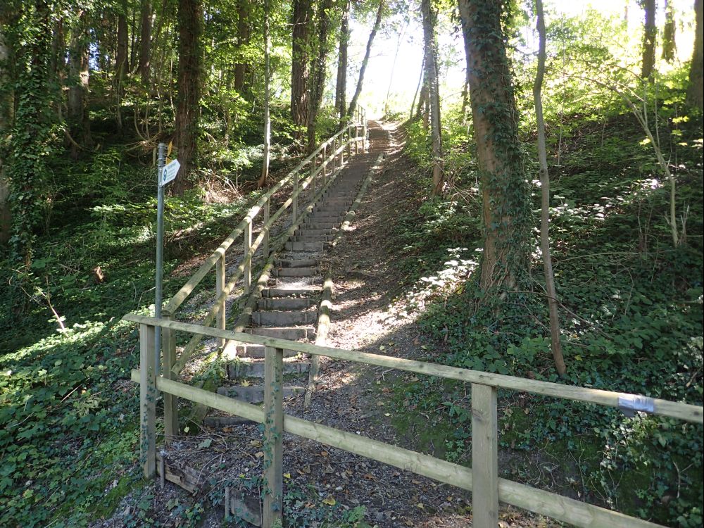 Treppe im Tüüfelsgrüt