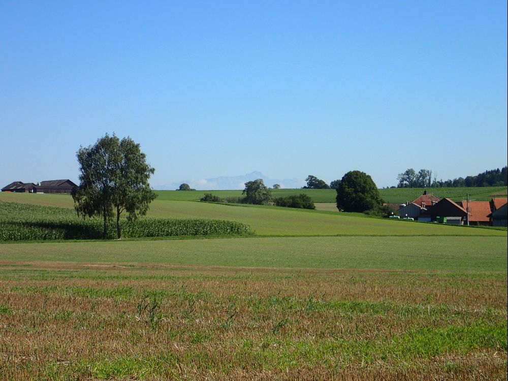 Säntis am Horizont