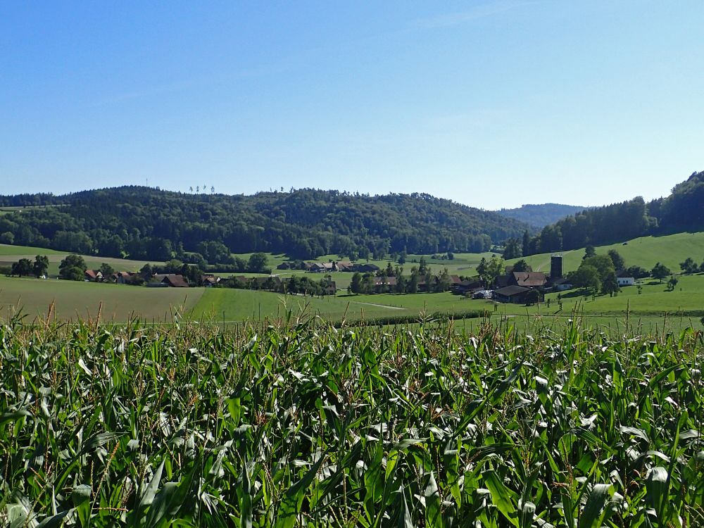 Blick Richtung Oberschneit