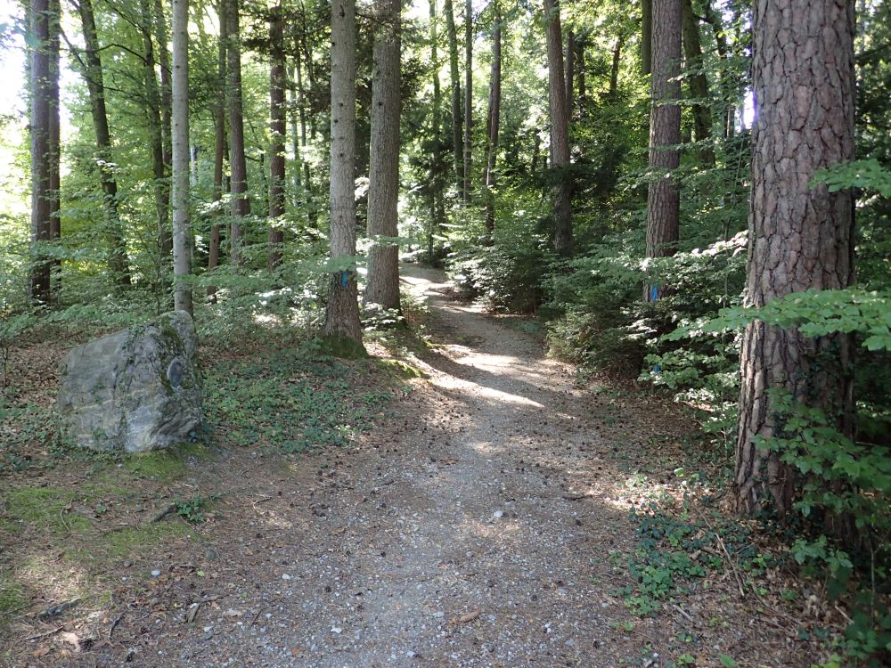 Waldweg