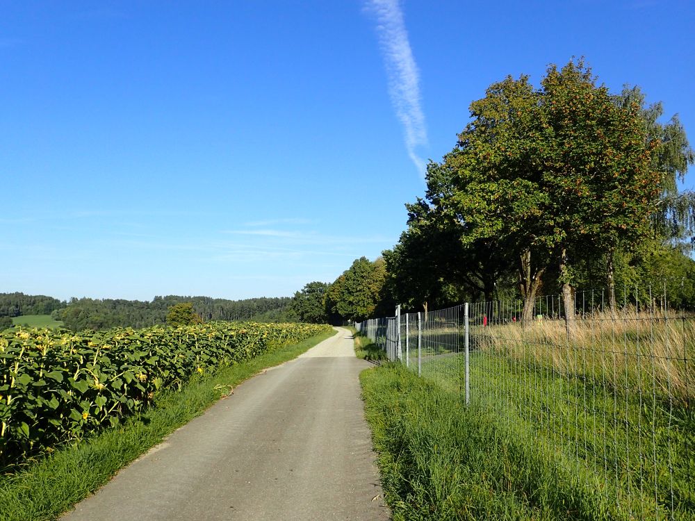 Unterweidstrasse am AB-Parkplatz