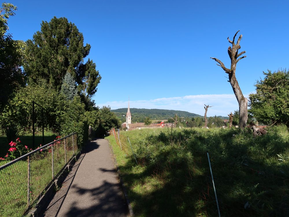 Häldeliweg