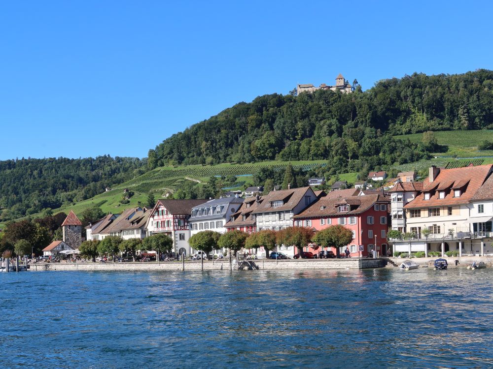 Blick zur Schifflände und Burg Hohenklingen