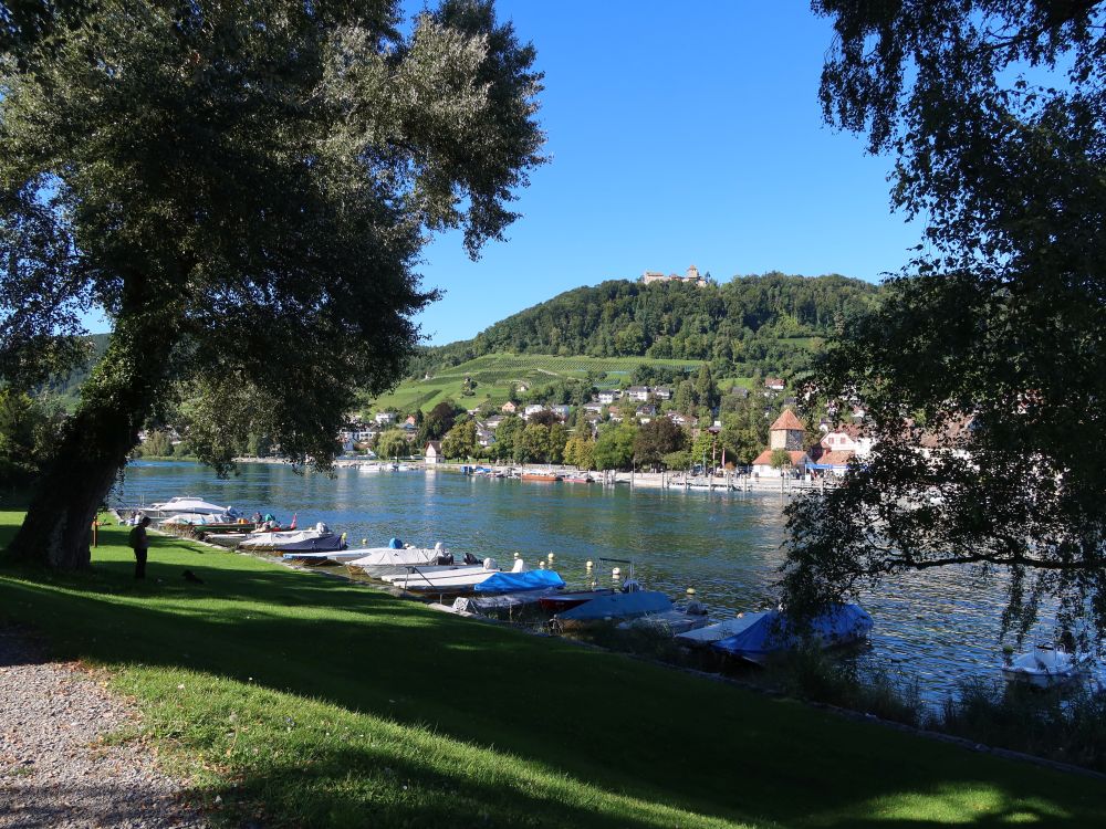 Espi am Rhein und Burg Hohenklingen