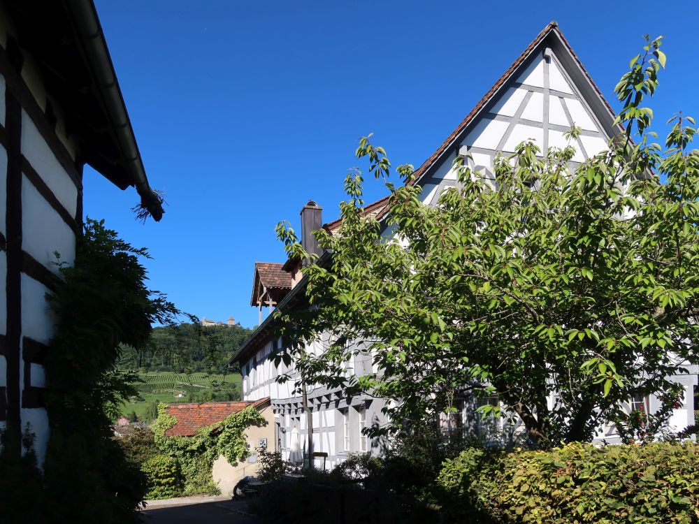 Burg Hohenklingen zwischen Fachwerk