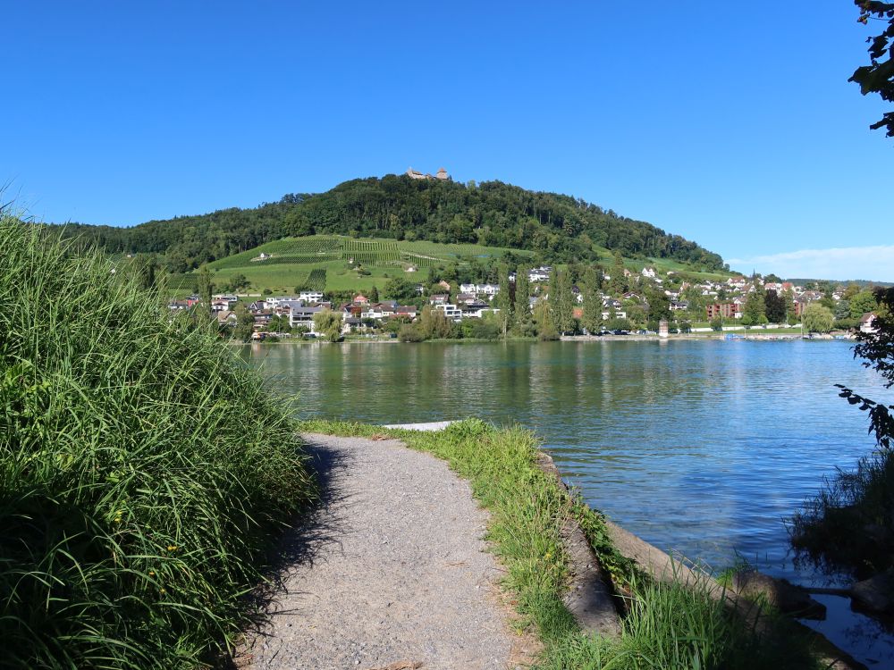 Schmittenweg mit Blick zu Burg Hohenklingen