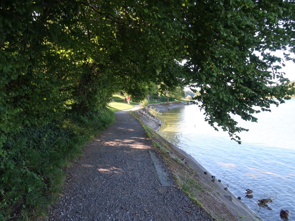 Uferweg Nähe Rhiibadi
