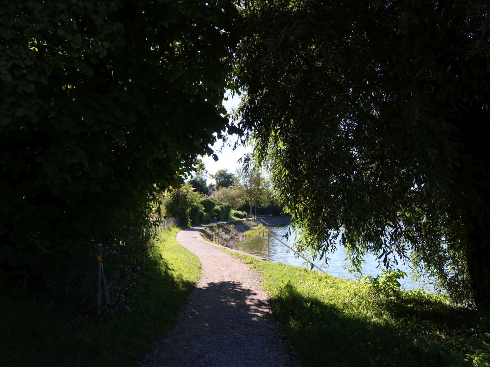 Uferweg bei Wagenhausen