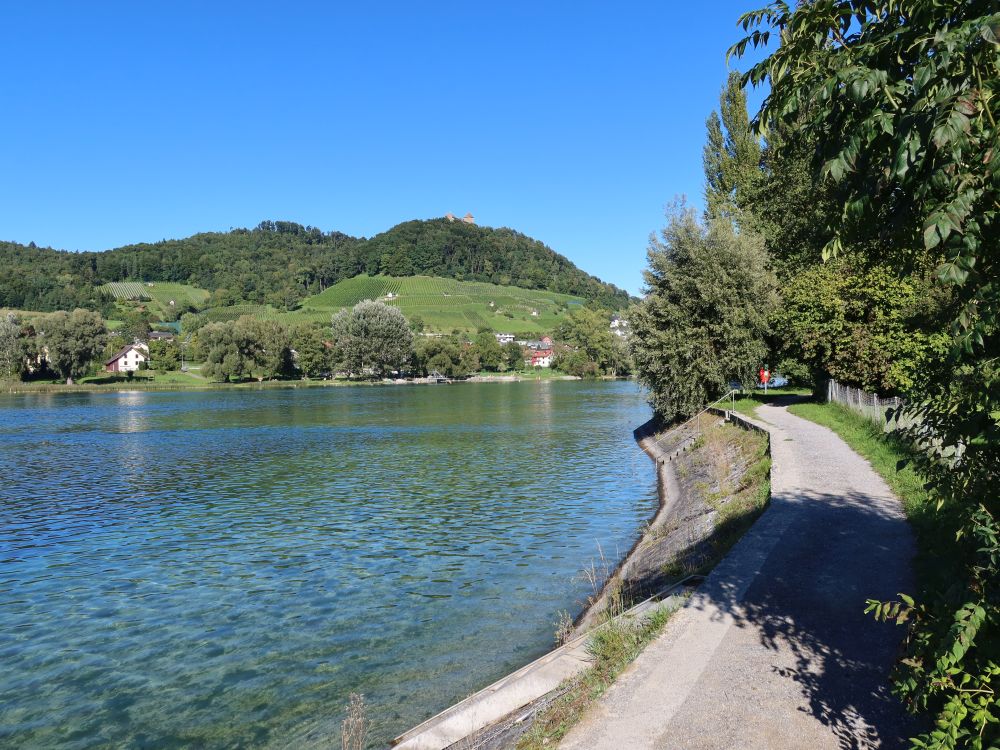 Blick über den Rhein Richtung Burg Hohenklingen