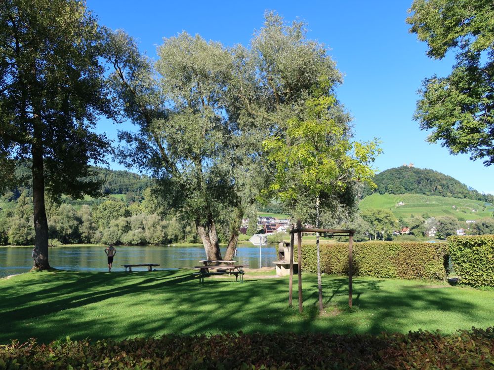 Wiese am Campingplatz Wagenhausen