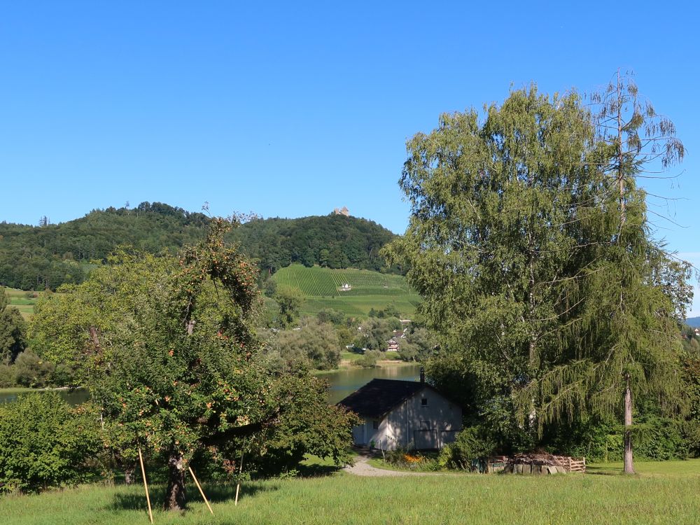 Blick zur Burg Hohenklingen