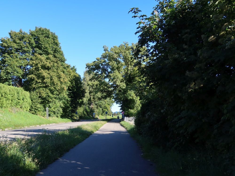 Fussweg an der Hauptstrasse