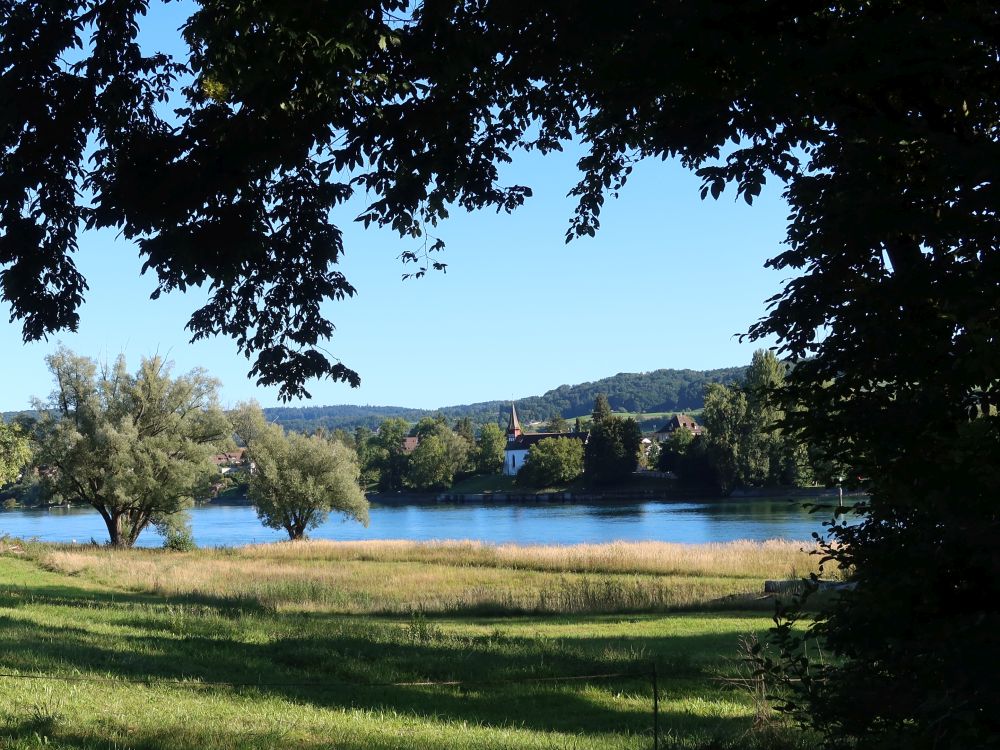Blick über den Rhein zur Propsteikirche