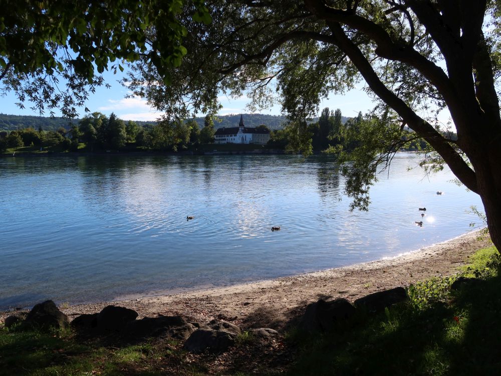 Blick über den Rhein zur Propsteikirche