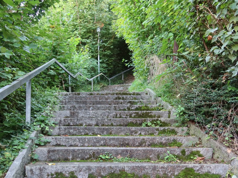 Treppe Uf Burg