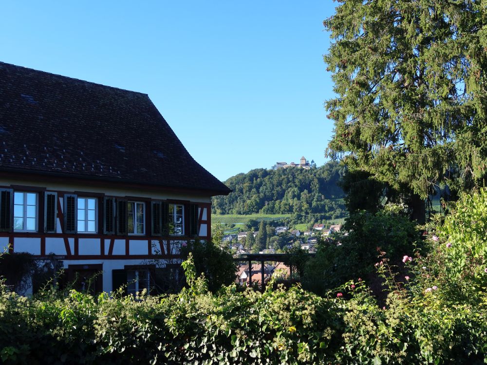 Fachwerk und Burg Hohenklingen