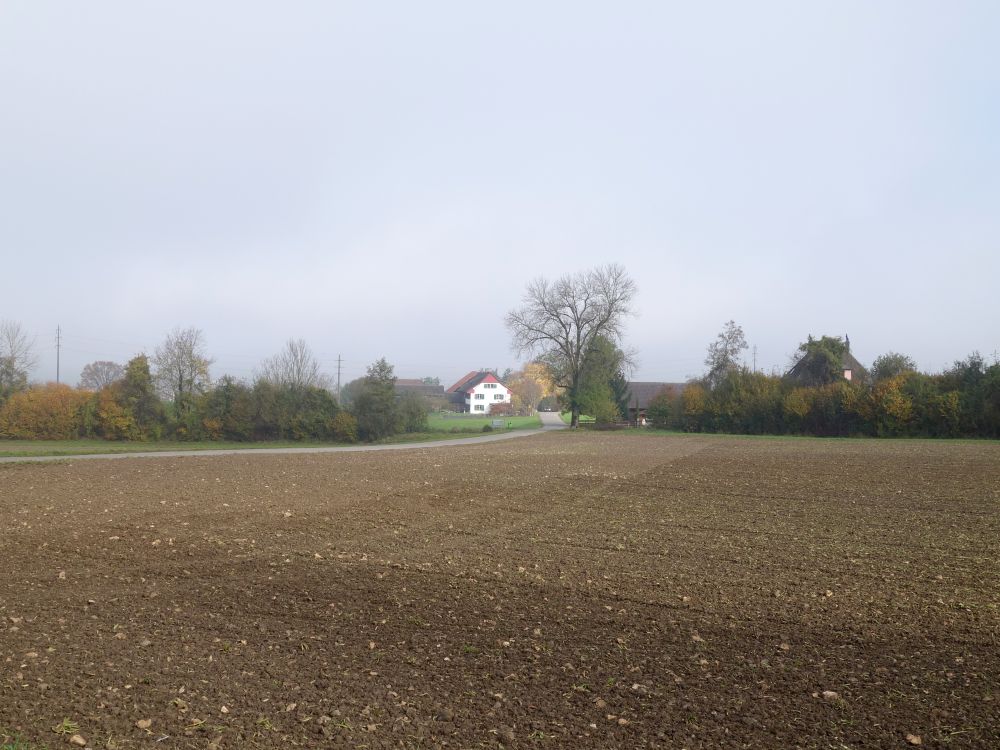 Blick Richtung Neuhus