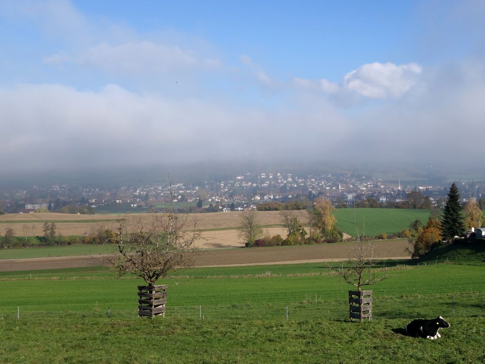 Stein unterm Nebel