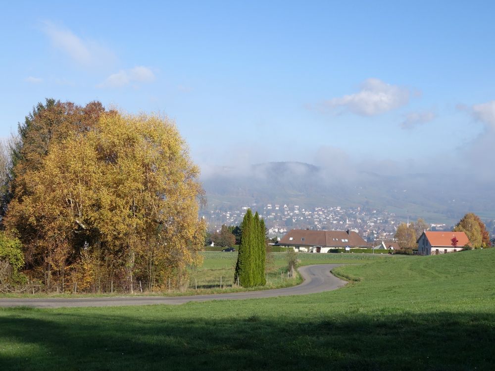 Blick Richtung Stein am Rhein