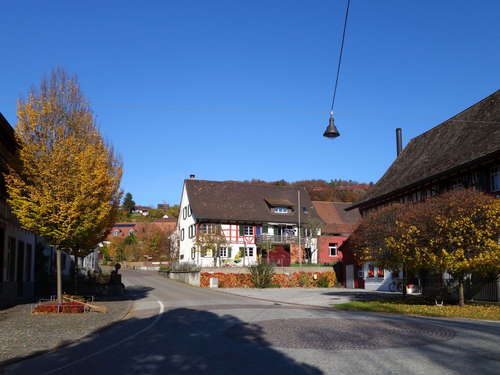 Haus in Nussbaumen