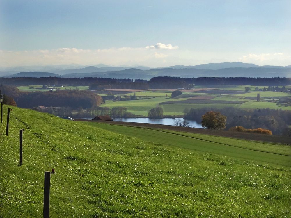Hüttwilersee