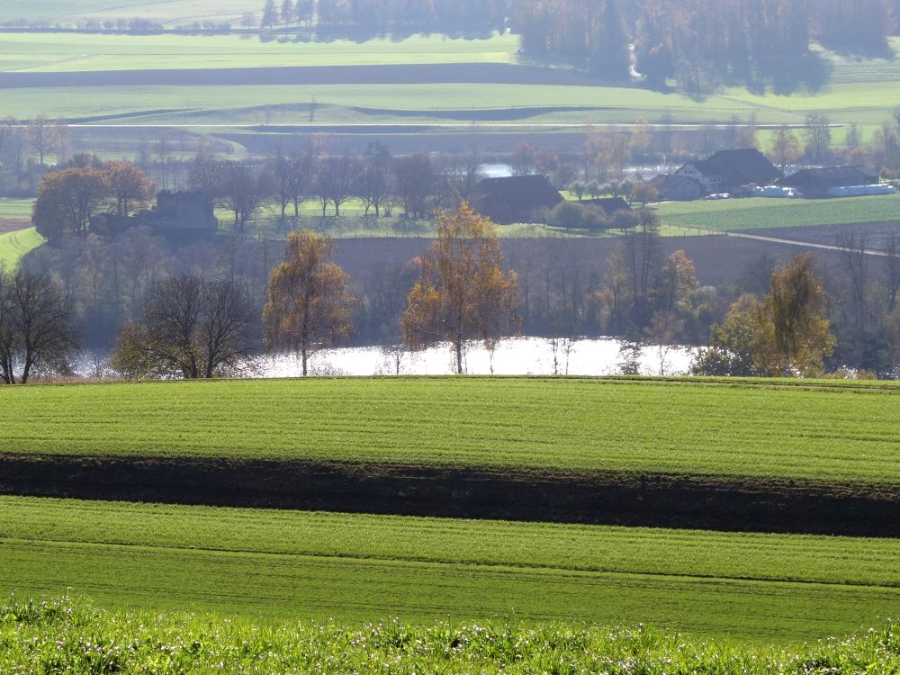 Httwilersee