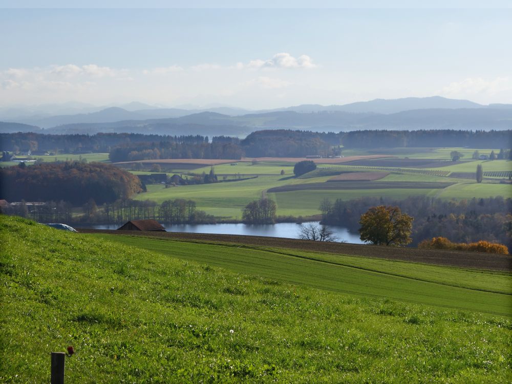 Hüttwilersee