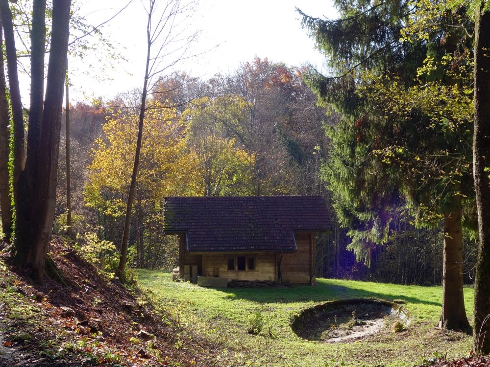 Htte unterm Schloss Steinegg