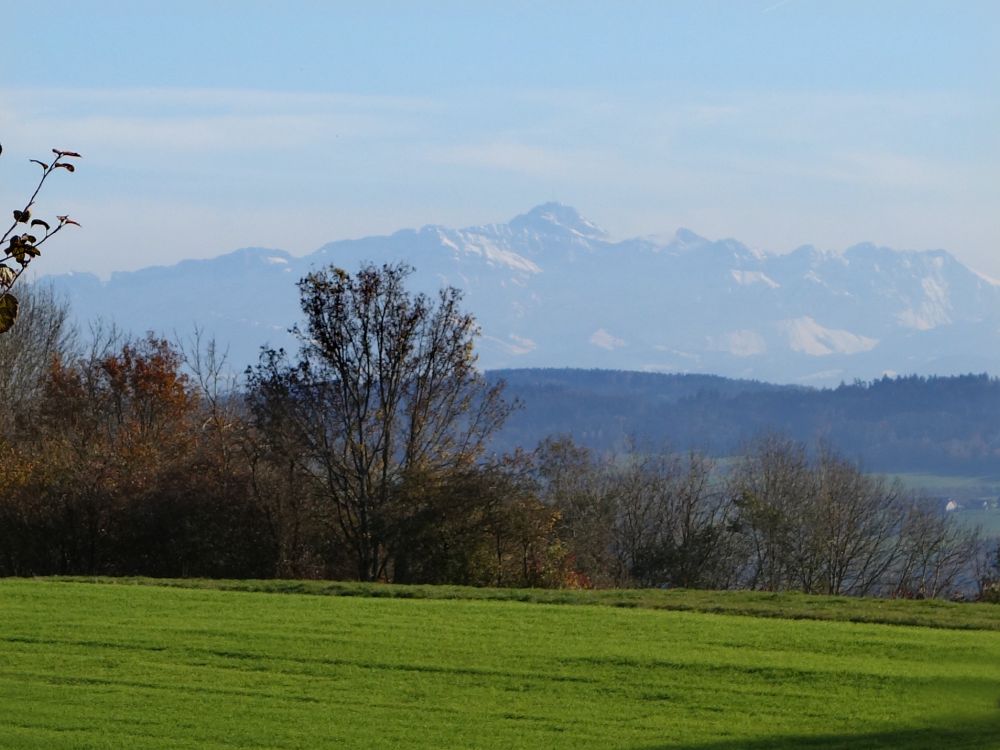 Blick zum Säntis