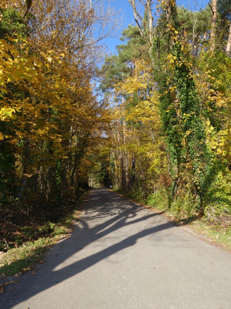 Strasse bei Staanegg