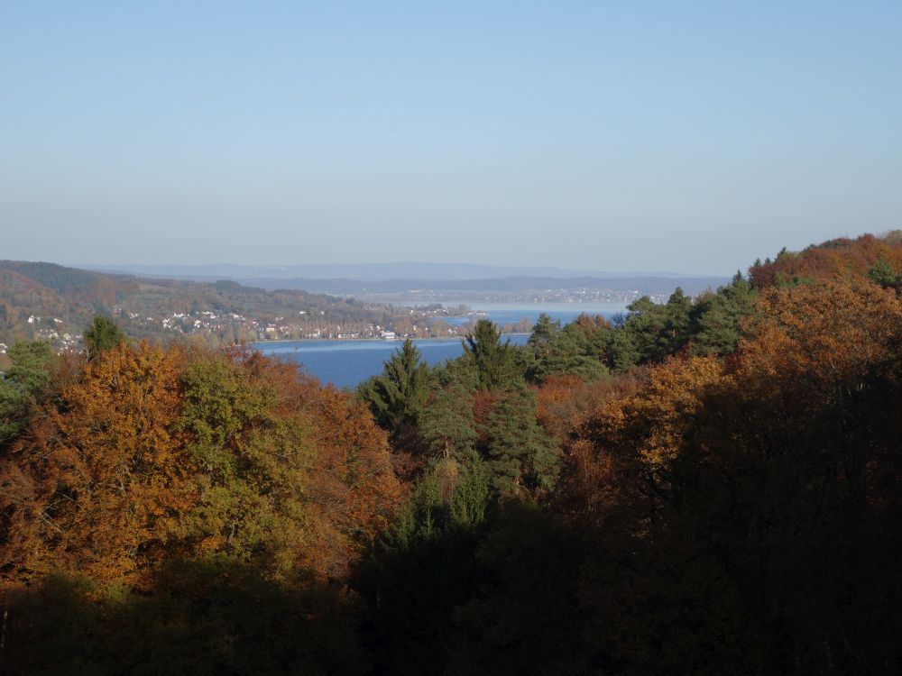 Rhein und Untersee