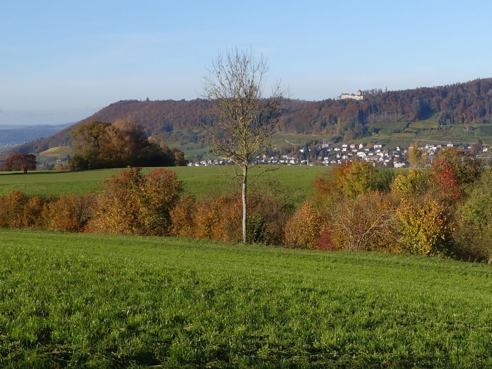 Hohenklingen und Stein am Rhein